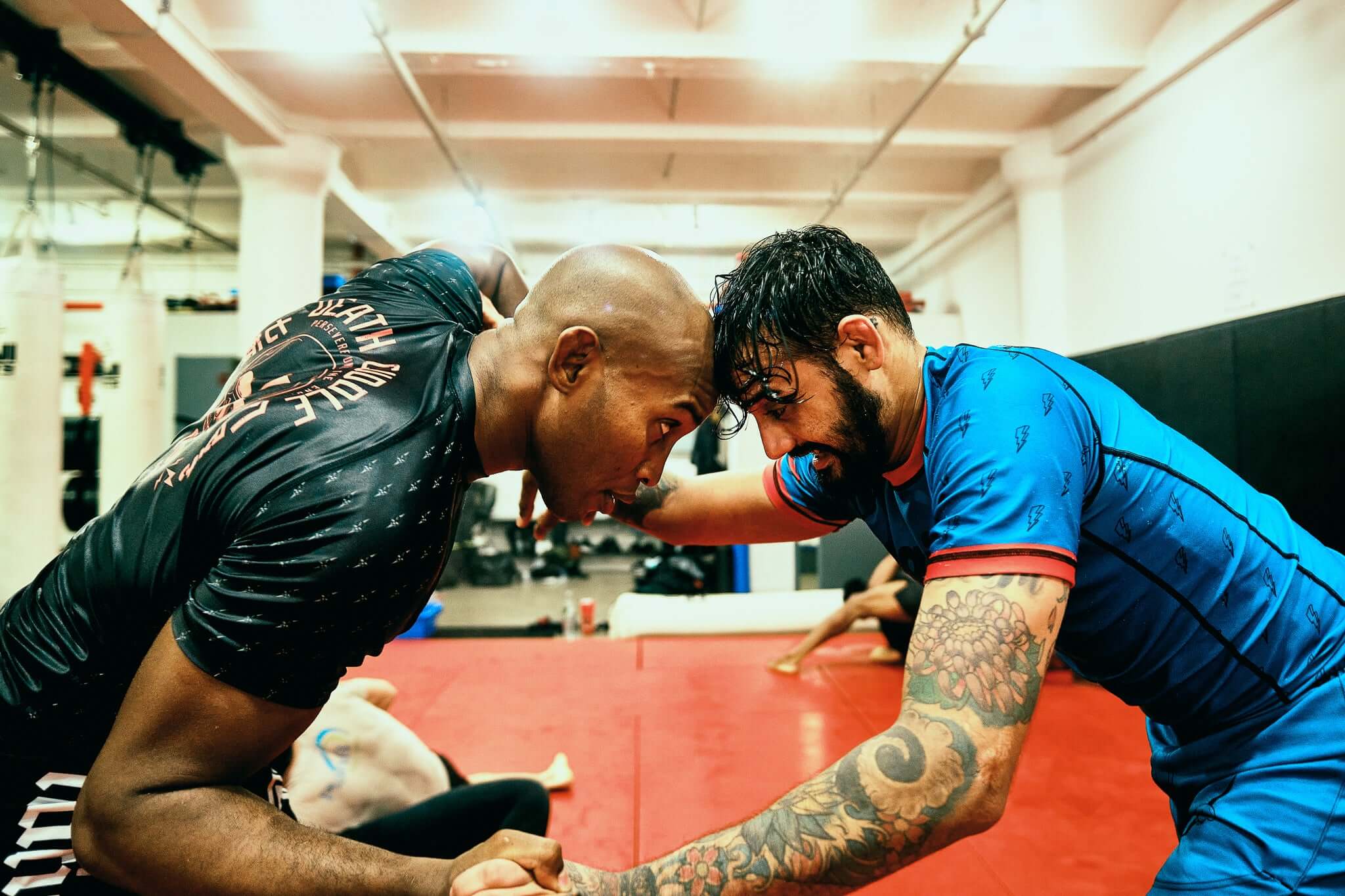 Premium BJJ Shorts - Jiu Jitsu Grappling Shorts by Nation Athletics