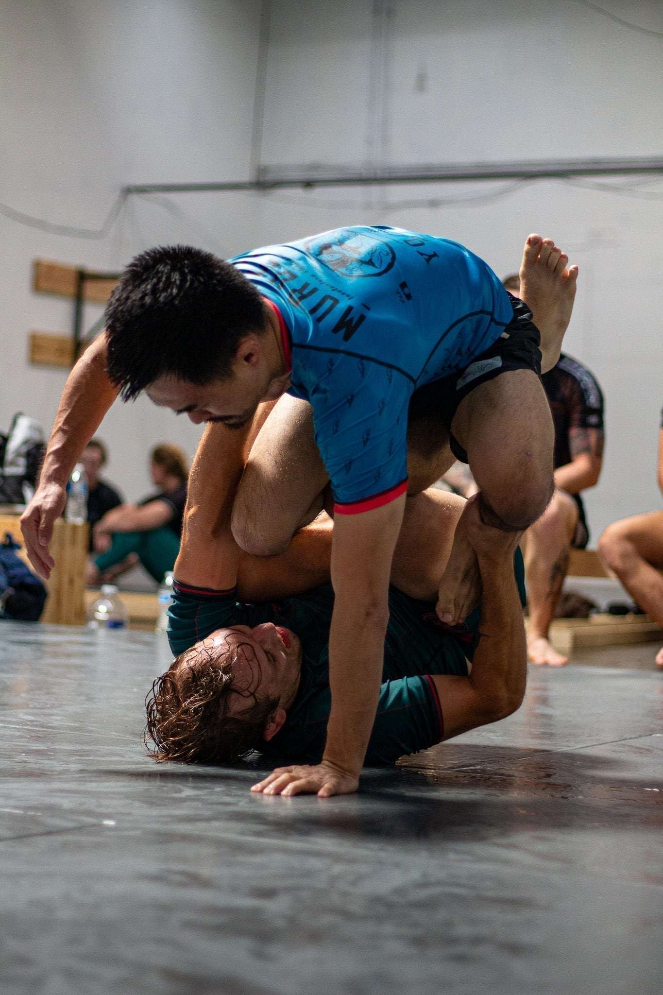 Men's Short Sleeve BJJ Rash Guards - lifestyle training at odyssey