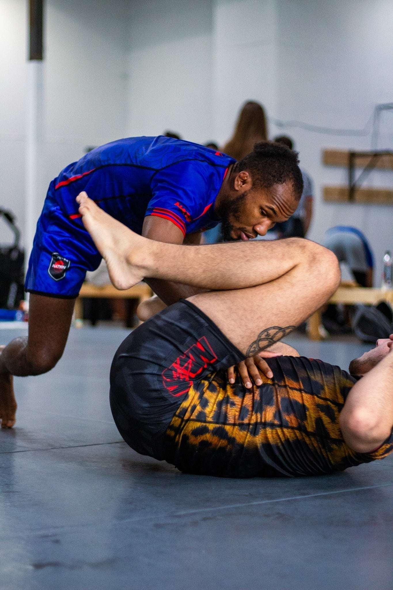nation_athletic_bjj_rash_guard_set_BJJ grappling shorts