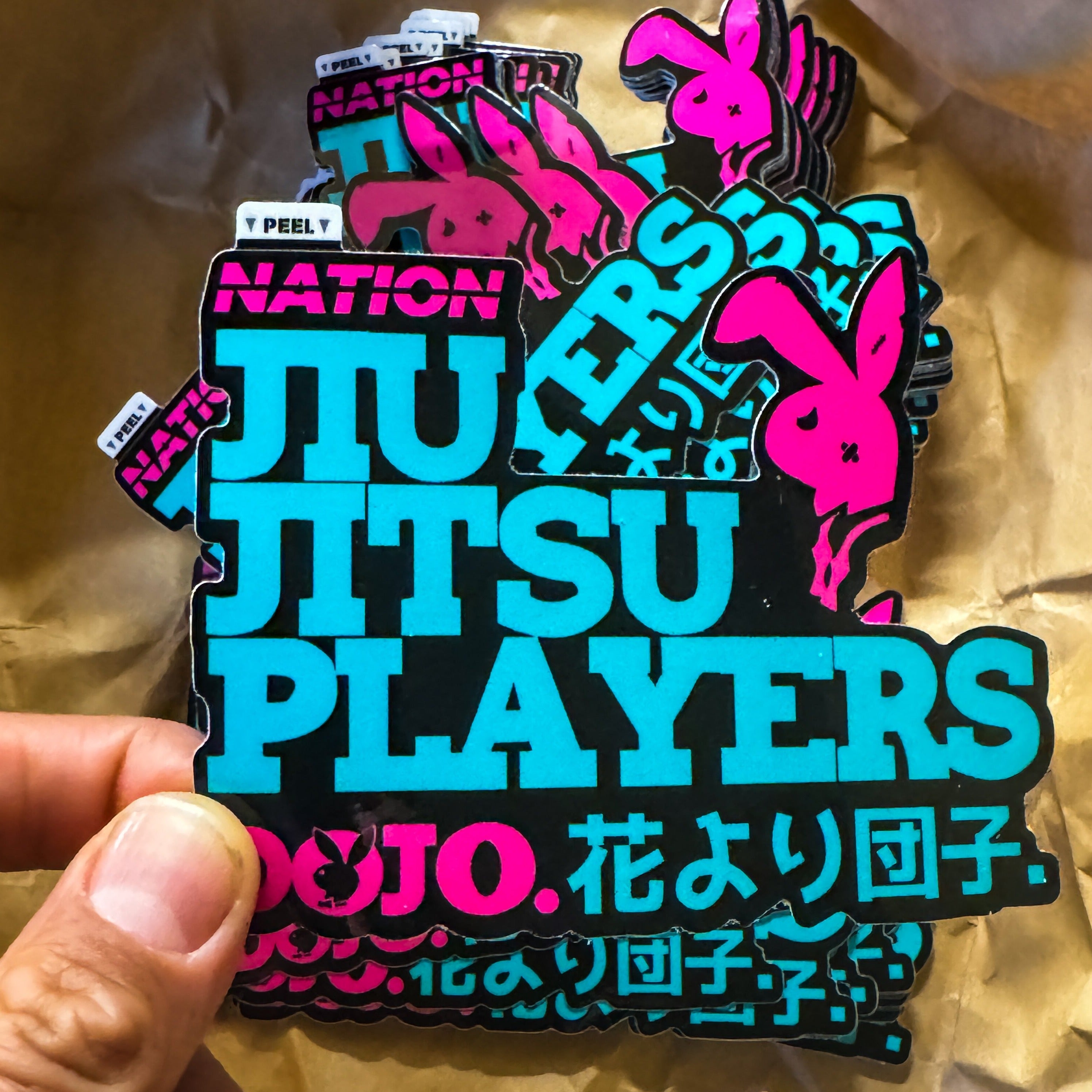 Jiu Jitsu Players Dojo  4&quot;X3&quot; laminated, die cut BJJ sticker