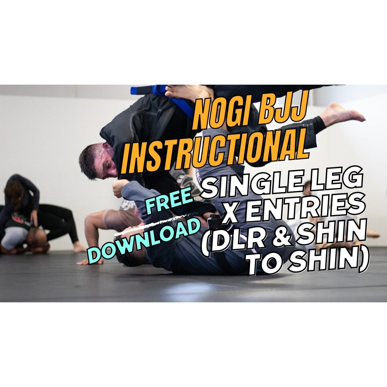 NOGI BJJ INSTRUCTIONAL - Single Leg X Entries DLR & Shin to Shin - Free Download